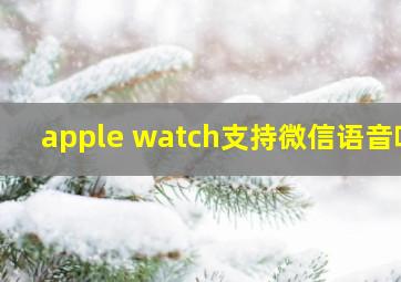 apple watch支持微信语音吗